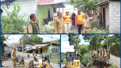 GridArt_20231120_131944615-scaled