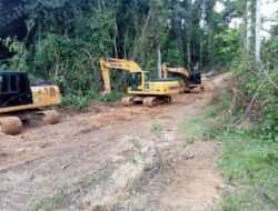 Sangadi Tolondadu Dihadapkan Hukum: Proyek Jalan Perkebunan ADD Serobot Kawasan Hutan Produksi