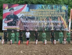 Demi Sukseskan Program Presiden RI, Pj Bupati Tanam Jagung Bersama Pangdam XIII/Merdeka
