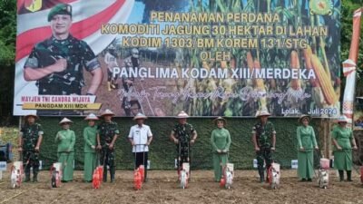 Demi Sukseskan Program Presiden RI, Pj Bupati Tanam Jagung Bersama Pangdam XIII/Merdeka