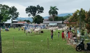Hewan-Kurban-di-Kotamobagu-sgherhty
